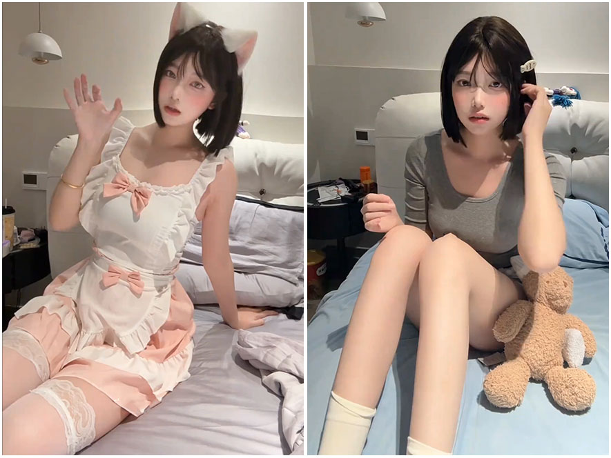 小狼崽室内纯欲风高清壁纸大图