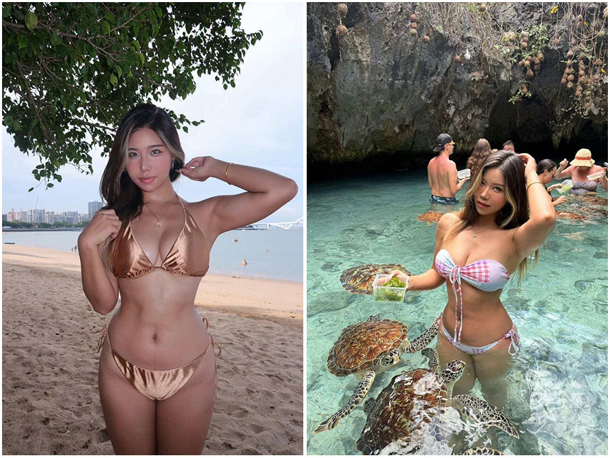 黑皮椰图片视频合集下载