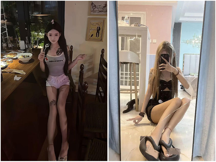 摇尾鱼视频资源合集完整版网盘下载合集