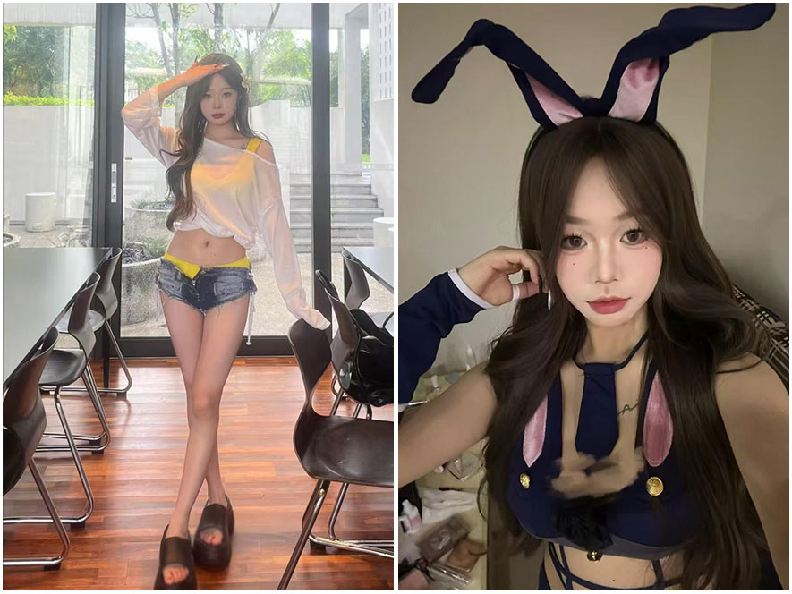 万图屋提供的加多宝的岛视频下载合集